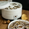 Suszarka do grzybów, owoców, warzyw i ziół z regulacją temp, 500W