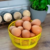 Koszyk plastikowy do Dam 5L, żółty