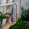 Termometr pokojowy z białą skalą (-30C do +50C) 20cm