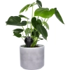 Kula nawadniająca do roślin, czarna matowa z ceramiczną nóżką (w opakowaniu) 400 ml