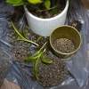 Keramzyt 4 - 10 mm, 1 L