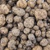 Keramzyt 4 - 10 mm, 1 L
