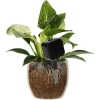 Nawadniacz do roślin – tabliczka czarna z ceramiczną nóżką, 200 ml