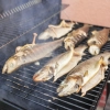 Zrębki do wędzenia/grillowania, buk, 450 g, kl. 8