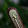 Termometr pokojowy ze złotą skalą (-10C do +50C) 22cm, mix