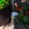 Korek do balonu fi 43 mm z zamknięciem