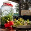 Słoik 8 L z plastikową pokrywą