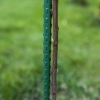 Tyczka stalowa powlekana PE 1,75 m x 11 mm