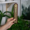 Termometr pokojowy ze złotą skalą (-10C do +50C) 22cm, mix