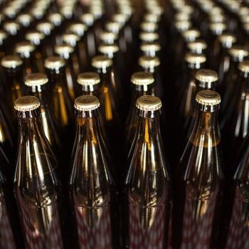 Butelka na piwo 500 ml - karton 12 szt.