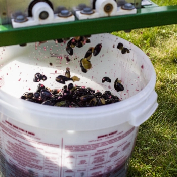Pojemnik fermentacyjny z pokrywką 30 L