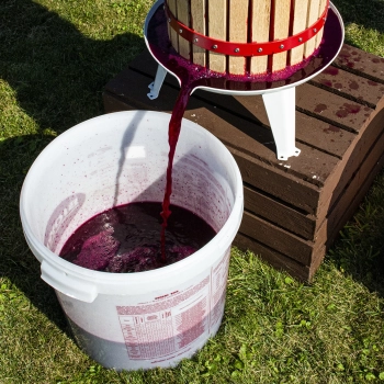 Drożdże winiarskie Burgund bez namnażania, 20 ml