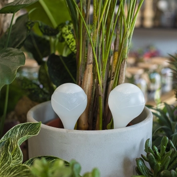 Kula nawadniająca do roślin, biała matowa z ceramiczną nóżką, 400ml