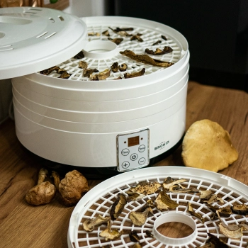 Suszarka do grzybów, owoców, warzyw i ziół z regulacją temp, 500W