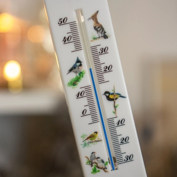 Termometr uniwersalny z grafiką - ptaki (-30C do +50C) 20cm