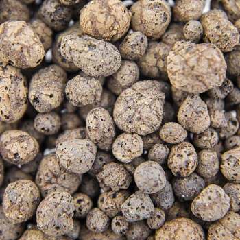 Keramzyt 4 - 10 mm, 1 L