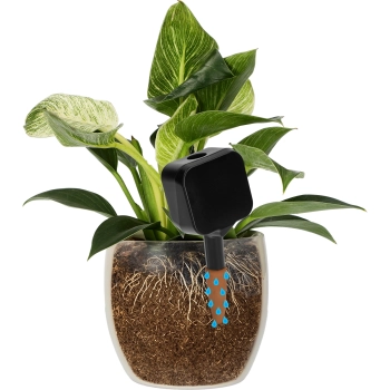 Nawadniacz do roślin – tabliczka czarna z ceramiczną nóżką, 200 ml