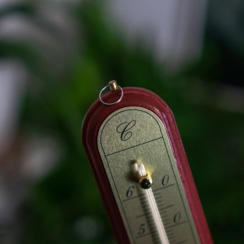 Termometr pokojowy ze złotą skalą (-10C do +60C) 28cm mix