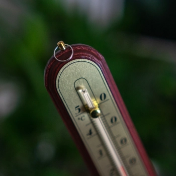 Termometr pokojowy ze złotą skalą (-10C do +50C) 22cm, mix