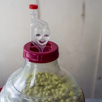 Balon do wina lekki, nietłukący, z szelkami, 25 L