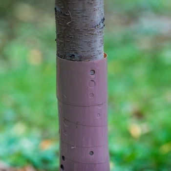 Osłonka do drzewek - spirala - fi 3,5 x 80 cm