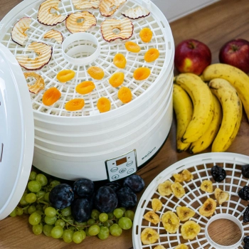Suszarka do grzybów, owoców, warzyw i ziół z regulacją temp, 500W