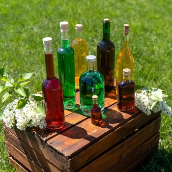 Butelka Maluch 50 ml z zakrętką - 10 szt.