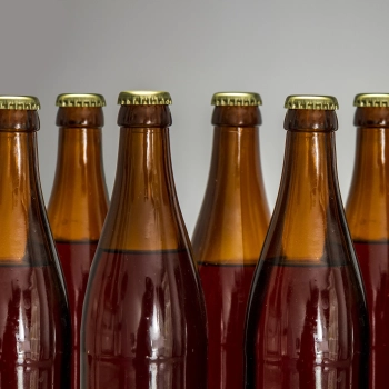 Butelka na piwo 500 ml - karton 12 szt.