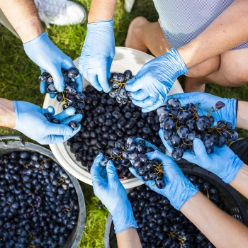 Pojemnik fermentacyjny z pokrywką 30 L