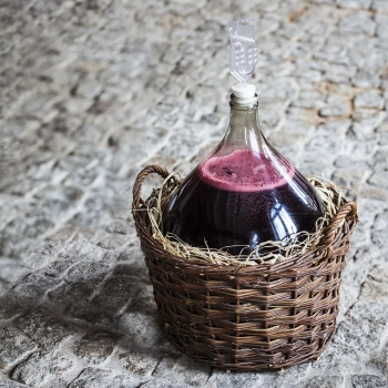 Enovini® BIO - ekologiczne drożdże winiarskie, 7 g