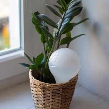 Kula nawadniająca do roślin, biała matowa z ceramiczną nóżką, 400ml
