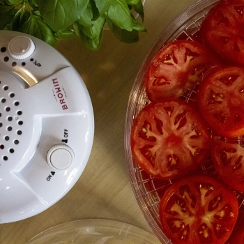 Suszarka do grzybów, owoców, warzyw i ziół, 350 W, z regulacją temperatury
