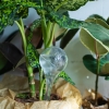 5x Kula nawadniająca do kwiatków dozownik wody nawilżacz kula wodna 400ml