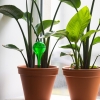 12x KULE NAWADNIAJĄCE NAWADNIACZ DO KWIATÓW ROŚLIN dozownik wody 400ml